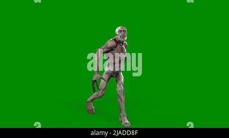 Le personnage de fantaisie Zombie Undead dans une posture épique - 3D rendu sur fond vert isolé Banque D'Images