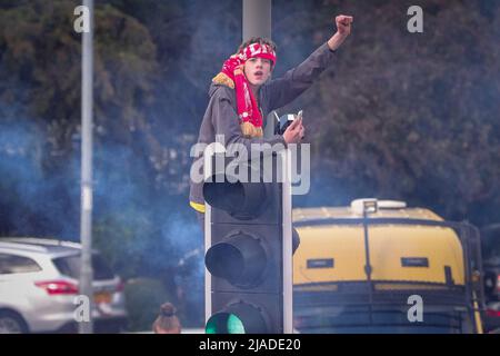 Un supporter monte sur un feu de circulation alors que l'équipe du FC Liverpool célèbre lors du défilé de bus à toit ouvert à travers la ville Banque D'Images