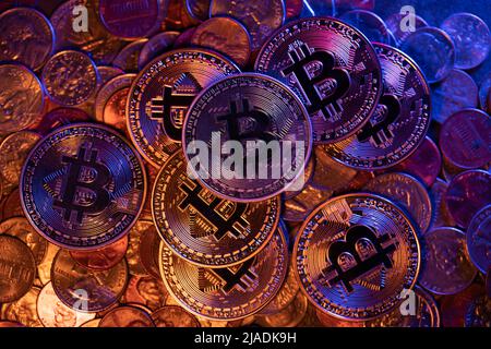 Les pièces de crypto-monnaie sont empilées sur les pièces en dollars américains et en euros. Crypto en hausse de popularité et d'acceptation dans le monde Banque D'Images