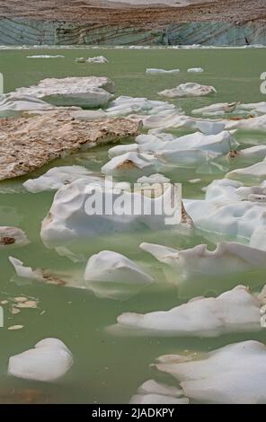 Patrons d'iceberg sur un étang glaciaire sur l'étang Cavell dans le parc national Jasper au Canada Banque D'Images