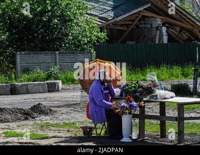 Dmytrivka, Ukraine. 29th mai 2022. Une femme âgée vend des fleurs au village de Dmytrivka près de la capitale ukrainienne Kiev. La Russie a envahi l'Ukraine le 24 février 2022, déclenchant la plus grande attaque militaire en Europe depuis la Seconde Guerre mondiale Crédit : SOPA Images Limited/Alamy Live News Banque D'Images