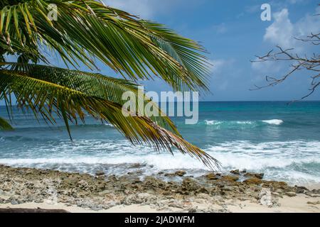 L'île de San Andrés, Colombie, connue pour sa mer des sept couleurs Banque D'Images