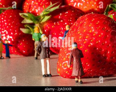 Allemagne. 28th mai 2022. Dans cette illustration, de petites figures sont représentées en regardant les fraises. (Photo de Valera Golovniov/SOPA Images/Sipa USA) crédit: SIPA USA/Alay Live News Banque D'Images