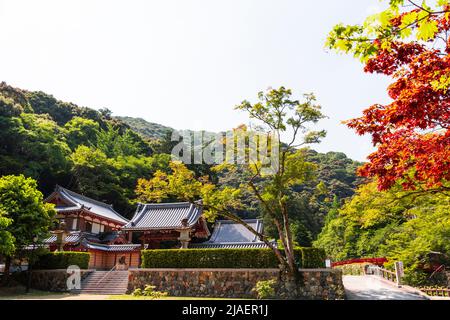 Essai nature de la cascade Mino dans la préfecture d'Osaka, Kansai, Japon. Banque D'Images