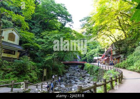 Essai nature de la cascade Mino dans la préfecture d'Osaka, Kansai, Japon. Banque D'Images