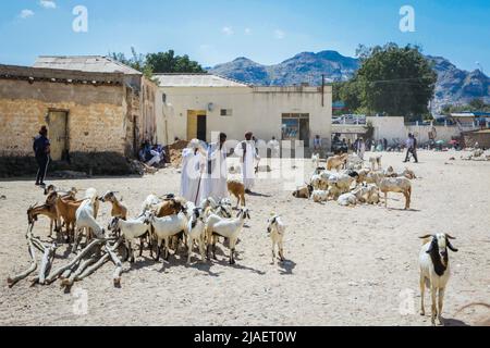 Chèvres hommes vendeurs en robe blanche traditionnelle sur le marché local des animaux Banque D'Images