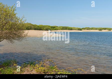 Piscine Kenfig, réserve naturelle nationale de Kenfig, tonne Kenfig, Bridgend, South Wales, UK Banque D'Images