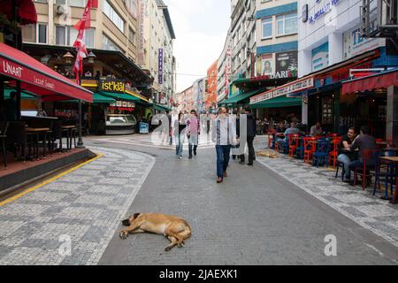 Scène de rue dans le centre-ville d'Istanbul avec des gens qui font leurs affaires quotidiennes pendant que les chiens se coutent et se détendre. Banque D'Images