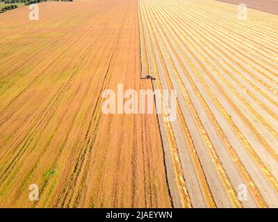 Image de drone aérien de champs avec diverses cultures basées sur le principe de la polyculture et de la permaculture - une agriculture saine méthode de l'écosystème Banque D'Images