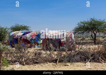 Les habitants de la région vivent dans la vallée près de Laas Geel Rocks Banque D'Images