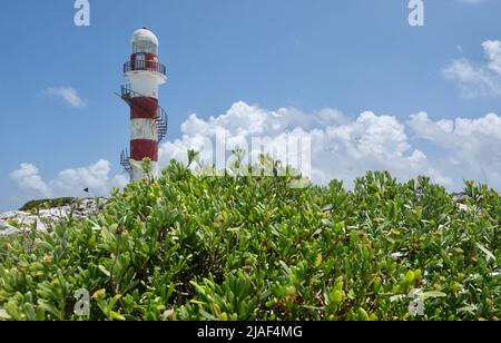 Vue sur le phare de Punta Cancun, Faro de Punta Cancun, à travers la végétation verte à l'extrémité nord de la zone hôtelière, Zona Hotelera, au Mexique Banque D'Images