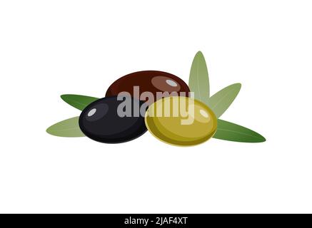 Assortiment d'olives, vert, noir et marron avec feuilles, illustration vectorielle de style plat sur fond blanc Illustration de Vecteur
