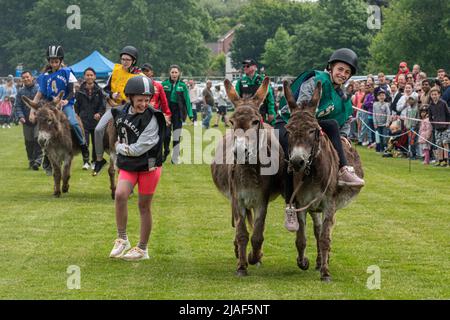 Farnborough Donkey Derby, 2022 mai, avec des enfants participant à des courses d'ânes, Hampshire, Angleterre, Royaume-Uni Banque D'Images