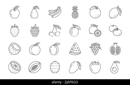 Illustration des fruits et des croûtes de baies avec icônes - fraise, pomme, ananas, framboise, grenade, avocat, pastèque, noix de coco. Ligne fine Illustration de Vecteur
