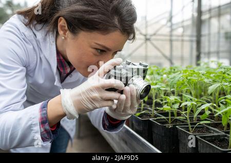 Jolie jeune agronome prend des photos de semis dans un pot de fleurs avec caméra pour la recherche de la croissance des plantes et de l'impact chimique sur la protection dans gre Banque D'Images