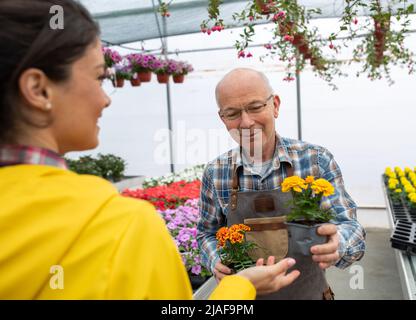 Homme plus âgé avec des verres en serre tenant un pot de fleur et les mains à la femme. Banque D'Images