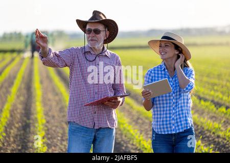 Deux agriculteurs, une jeune femme et un homme âgé parlant au champ de soja au printemps, au coucher du soleil Banque D'Images