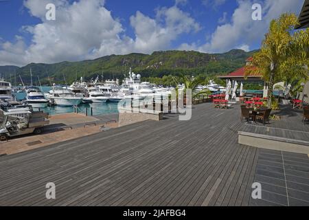 Marina, port avec yachts de luxe sur l'île artificielle d'Eden, Seychelles, Mahé Banque D'Images