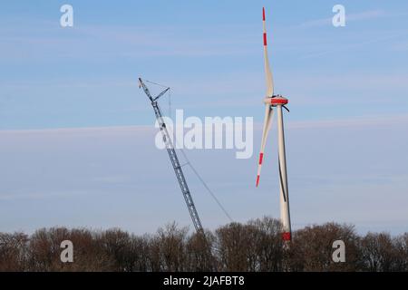 Grue à côté d'un nouveau moulin à vent construit dans un forst, Allemagne Banque D'Images