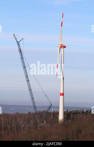 Grue à côté d'un nouveau moulin à vent construit dans un forst, Allemagne Banque D'Images