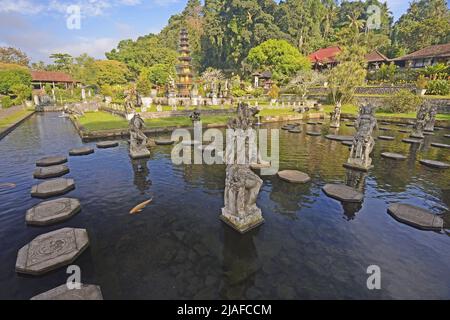 Jardin aquatique et bassin au palais d'eau Tirta Gangga, Indonésie, Bali Banque D'Images