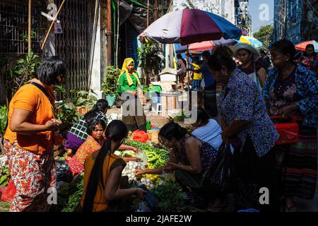 Yangon, Myanmar. 11th janvier 2020. Les gens achètent des fruits et des légumes sur des stands de rue. La vie quotidienne dans les rues animées de Yangon. Yangon, l'ancienne capitale du Myanmar, est toujours la plus grande ville et le centre industriel et commercial du pays.vie quotidienne sur les rues animées et les principaux sites de Yangon, l'ancienne capitale du Myanmar. La ville est toujours la plus grande et le centre industriel et commercial du pays. (Image de crédit : © Eduardo Leal/SOPA Images via ZUMA Press Wire) Banque D'Images