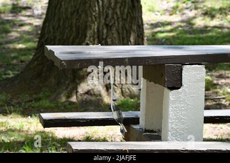 HANGMAN: Un personnage créé en papier fait des bals par le cou d'une table de pique-nique simulant la pendaison d'un homme dans le parc Menlo d'Edison, New Jersey. Banque D'Images