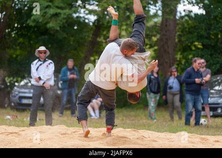 Pleyber-Christ, France - 29 mai 2022 : deux hommes pratiquant la lutte bretonne (Gouren) sur la sciure. Banque D'Images