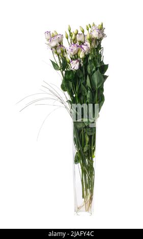 Belle eustoma violet pâle fleurs dans un grand vase en verre isolé sur fond blanc. Banque D'Images