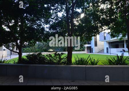 Prenez des photos à l'Université de Nouvelle-Galles du Sud Banque D'Images