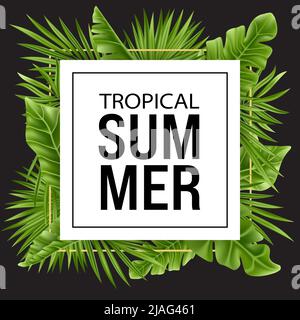 Feuille de palmier tropicale isolée sur fond blanc et noir. Bannière de plantes d'été vert réaliste avec cadre carré. Illustration vectorielle Illustration de Vecteur