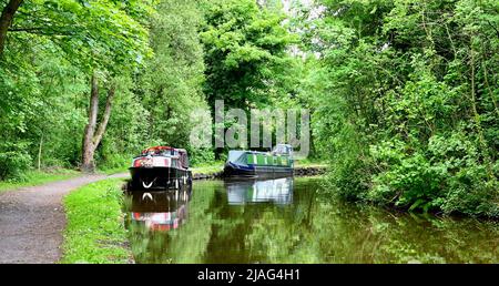 Bateaux à rames sur le canal de la forêt de Peak à New Mills, Derbyshire. Banque D'Images