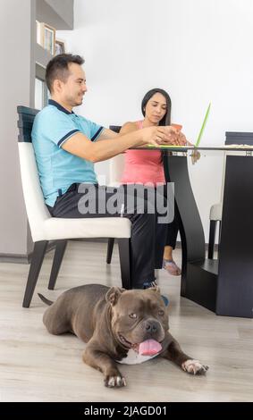 Photo verticale d'un couple qui travaille dans la salle à manger de sa maison avec un ordinateur portable et un téléphone portable à côté de son chien Bulldog Banque D'Images