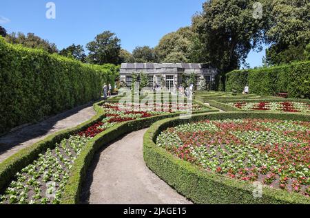 Jardin français au parc Mount Edgcumbe Cornwall 2022 mai Banque D'Images