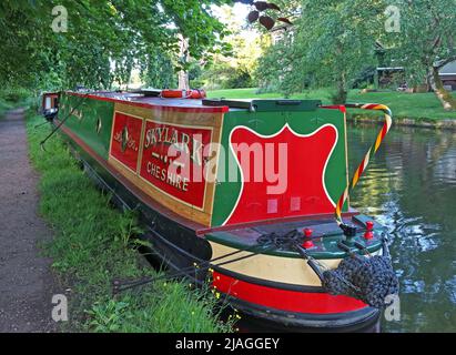 Barge traditionnelle Skylark Cheshire, attachée, amarrée sur le canal de Bridgewater, Stockton Heath, Warrington, Cheshire, Angleterre, ROYAUME-UNI, WA4 6HN Banque D'Images