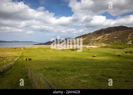 Lough Swilly, Irlande Banque D'Images