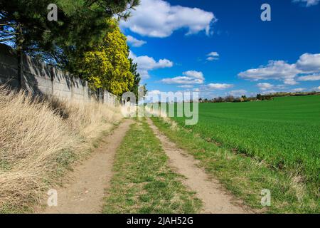 Chemin de champ autour de la clôture en béton le jour du printemps. Banque D'Images