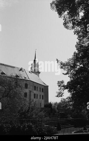 Tour de guet Castel, ciel lumineux en arrière-plan, branches d'arbres en premier plan, noir et blanc, contraste élevé Banque D'Images