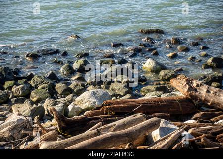 Côte rocheuse de False Bay dans l'île de San Juan, WA, se remplissant après marée basse par une journée ensoleillée Banque D'Images