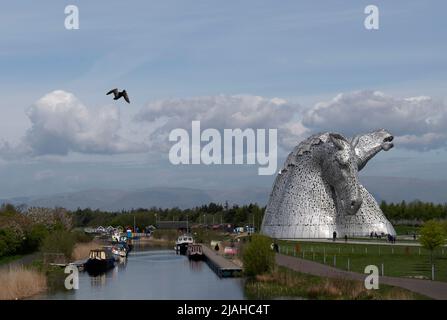 La statue de Kelpies à Falkirk, en Écosse pendant la journée Banque D'Images