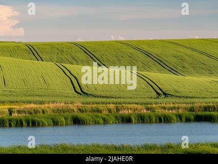 paysage agricole avec champs verts sur les collines Banque D'Images