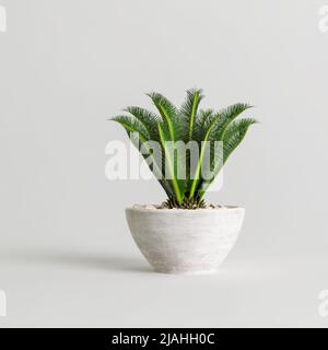 3d illustration de la plante en pierre en pot isolée sur fond blanc Banque D'Images