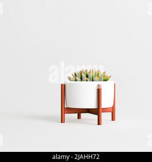 3d illustration des plantes de maison en pot isolées sur fond blanc Banque D'Images