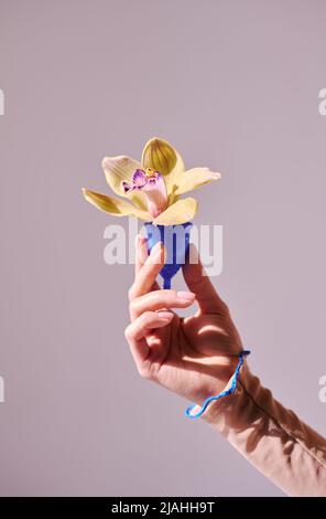 Coupe verticale minimaliste de femmes méconnaissables tenant la coupe menstruelle avec une belle fleur en elle, concept de santé pour femmes Banque D'Images