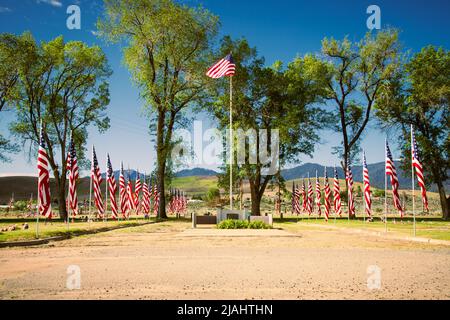 Drapeaux américains exposés le jour du souvenir dans un cimetière du comté de Lassen Califiornia, aux États-Unis. Banque D'Images