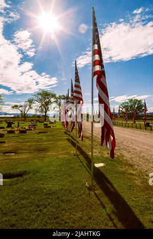 Drapeaux américains exposés le jour du souvenir dans un cimetière du comté de Lassen Califiornia, aux États-Unis. Banque D'Images