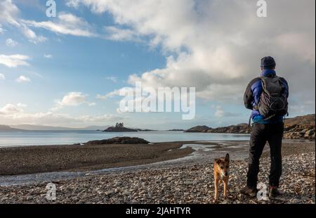 Paysage écossais - personne avec un chien en admirant la vue sur l'emplacement sauvage de Druimindarroch et Borrodale Beach en hiver, près d'Arisaig, SC Banque D'Images