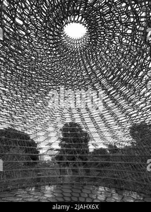 Jardins botaniques royaux de Kew. The Hive by Wolfgang contrefort, une structure conçue pour célébrer les abeilles domestiques britanniques. Monochrome. Londres. Banque D'Images