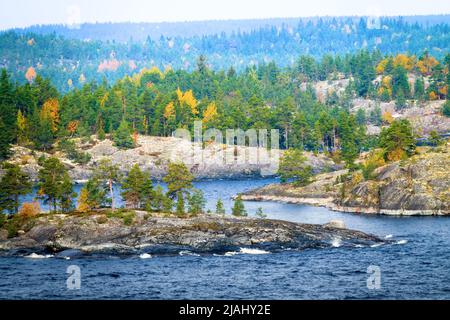 Bouclier cristallin Baltique, esker. Paysage glacié (chaînage glaciaire). cape en pierre, roche de berger avec petit bouleau d'automne, pins nains en LAD du Nord Banque D'Images