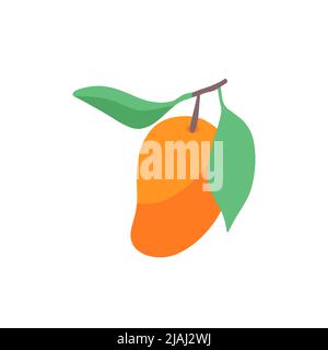 Illustration vectorielle dessinée à la main d'une mangue de style plat. Illustration mignonne d'un fruit sur fond blanc. Illustration de Vecteur
